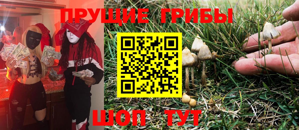 Псилоцибиновые грибы Magic Shrooms  Вход с VPN  Чапаевск 